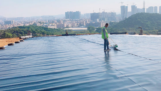 غشاء الجيوممبرانية الناعمة HDPE المقاومة للأشعة فوق البنفسجية لمكافحة الشيخوخة والحماية الدائمة في أي بيئة