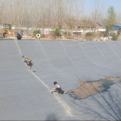 نسيج ملموس بالاسمنت المفعول بالماء CC 5mm-18mm سمك 6-20kg الحل المثالي