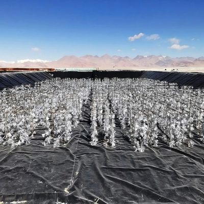 مقاومة للحمض والقليات، مقاومة للدموع HDPE غيوممبرانة ناعمة لمشروع هندسة مكافحة التسرب