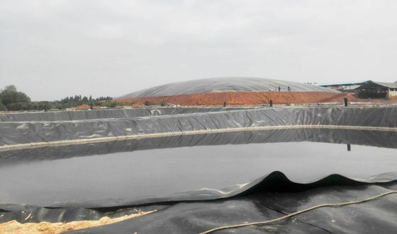 غشاء الجيومبران النظيف المضاد للانسكاب من HDPE للمشروع الزراعي غطاء بركة الأسماك العرض 1m-9m الطول 30-100m سمك> 0.5mm
