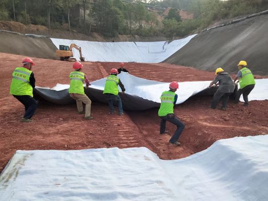 شبكة تصريف 3D TerraDrain HD: مقاومة كيميائية لا مثيل لها وطول العمر