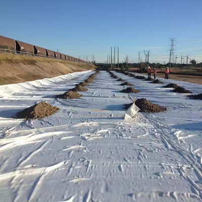 نسيج حماية متينة مع النسيج الجيولوجي الأسود 2-6m