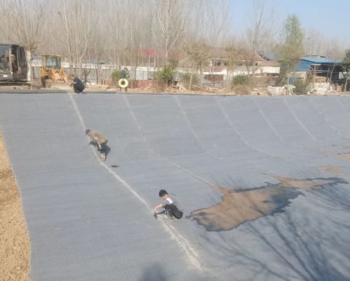 High-Strength Quick-Curing Cement Blanket Compliant with JC/T 2884-2025 Standard for Slope Protection